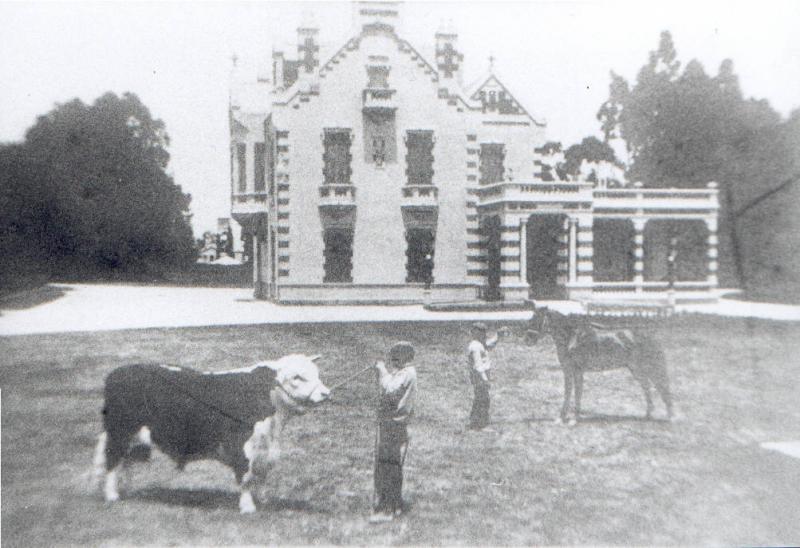 Quinta Grande , casco de la Estancia y Haras, Las Hormigas de Don Alfonso Ayerza.